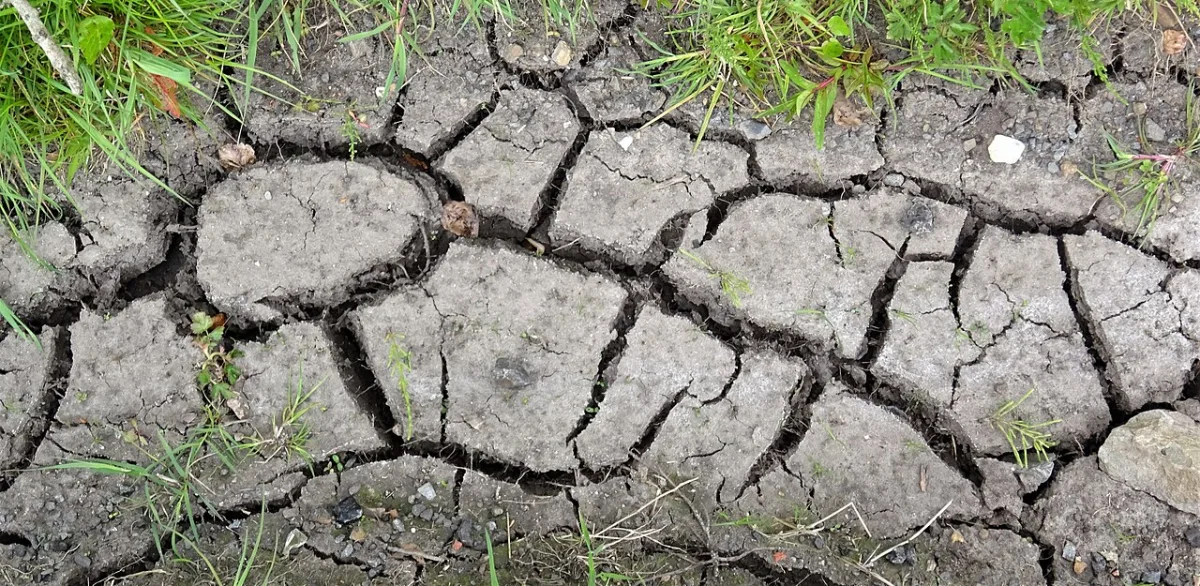 Terre asséchée et craquelée par la sécheresse